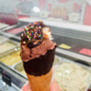 Meet your Posher, Ellie